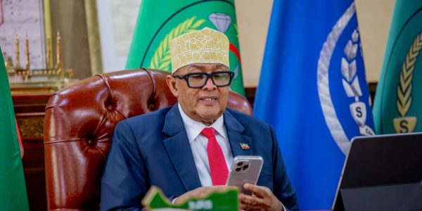 נשיא סומלילנד משוחח עם נתניהו בשעת החתימה המשותפת. צילום:  Dr. Mohamed Hagi