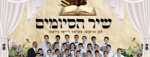 WhatsApp Image 2026-01-05 at 23.26.20