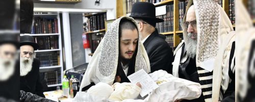 צילום: שוקי לרר