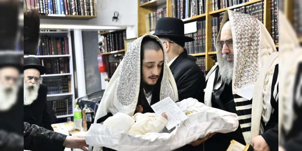 צילום: שוקי לרר