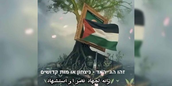 WhatsApp Image 2026-01-08 at 17.05.54