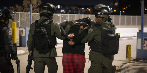 מעצר חשודים  צילום: דוברות משטרת ישראל