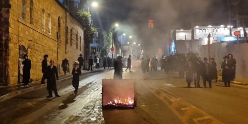 צילום: חיות הקודש