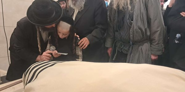 WhatsApp Image 2026-01-21 at 15.01.31