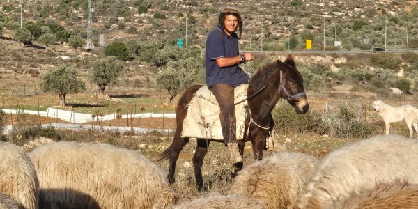 צילום: באדיבות המצלם