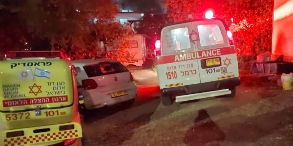 צילום: הצלה