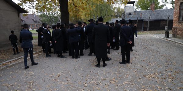 WhatsApp Image 2026-01-26 at 10.41.04 (2)