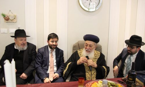 צילום: דודי קליין