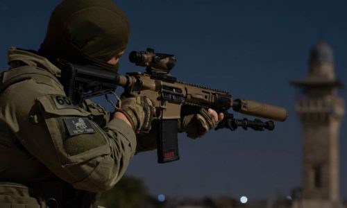 מסתערב מג"ב  צילום: דוברות משטרת ישראל