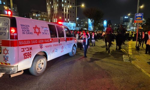 צילום: דוברות הצלה