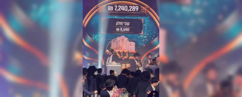 WhatsApp Image 2026-02-11 at 19.10.42 (4)