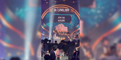 WhatsApp Image 2026-02-11 at 19.10.42 (4)