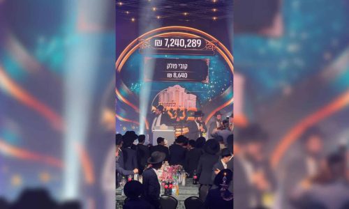 WhatsApp Image 2026-02-11 at 19.10.42 (4)