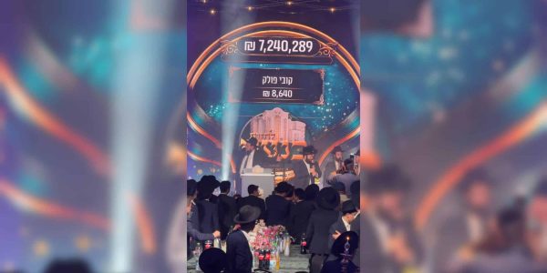 WhatsApp Image 2026-02-11 at 19.10.42 (4)