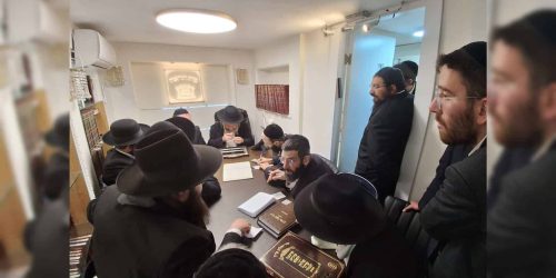 WhatsApp Image 2026-02-12 at 13.47.12