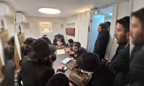 WhatsApp Image 2026-02-12 at 13.47.12