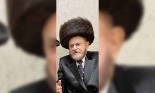 WhatsApp Image 2026-02-13 at 13.54.12 (1)