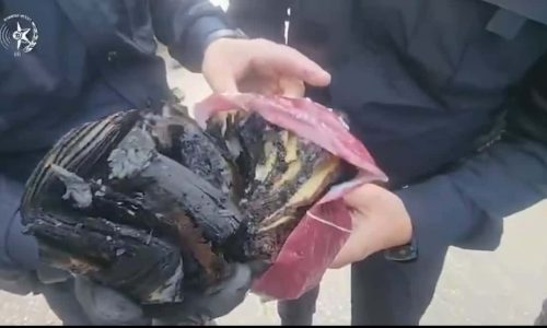 קרדיט: משטרת ישראל