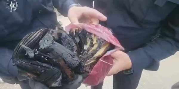 קרדיט: משטרת ישראל