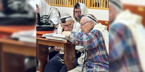 WhatsApp Image 2026-02-24 at 16.21.20