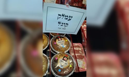 WhatsApp Image 2026-02-27 at 04.09.33