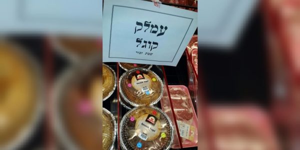 WhatsApp Image 2026-02-27 at 04.09.33