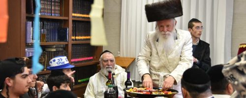 צילום: י. חימסון