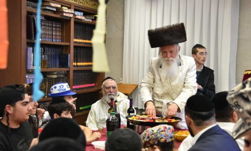 צילום: י. חימסון