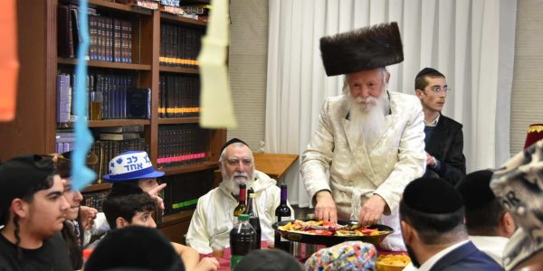 צילום: י. חימסון