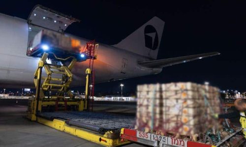 מטוס עם אספקה צבאית    צילום: דוברות משרד הביטחון