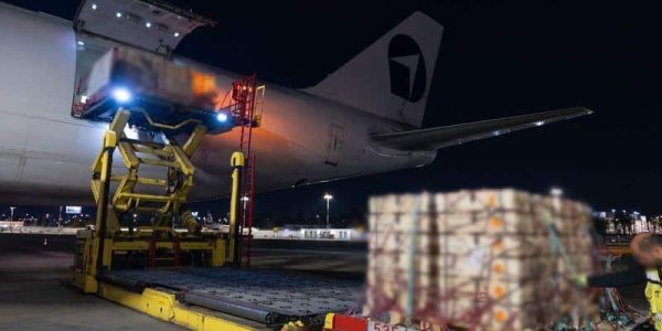 מטוס עם אספקה צבאית    צילום: דוברות משרד הביטחון