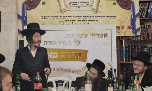 צילום: שימי קליין