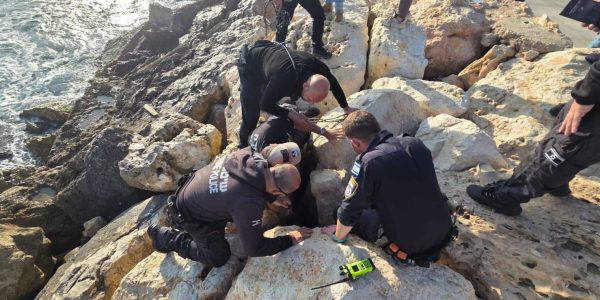 צילום: דוברות המשטרה