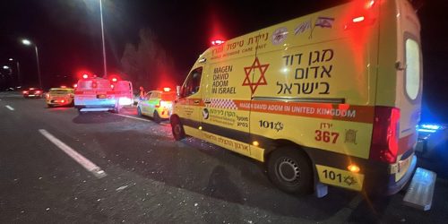 הזירה בצפון - קרדיט: מד"א