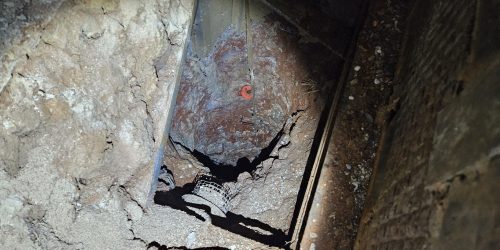 קרדיט: משטרת ישראל