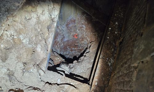 קרדיט: משטרת ישראל