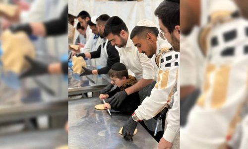 WhatsApp Image 2026-03-31 at 13.37.16