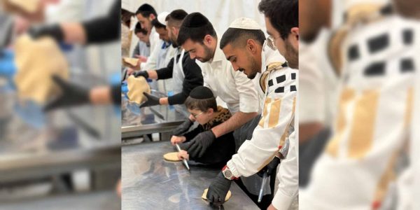 WhatsApp Image 2026-03-31 at 13.37.16