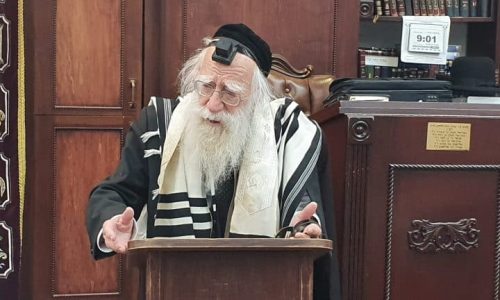 הגאון רבי אברהם אלטמן זצ"ל. צילום: אהרון מיכאלי