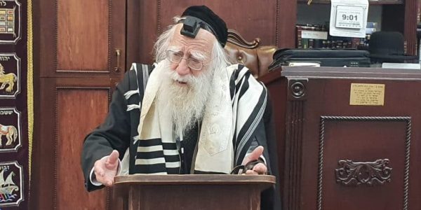 הגאון רבי אברהם אלטמן זצ"ל. צילום: אהרון מיכאלי