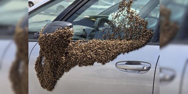 צילום: לפי סעיף 27 א'