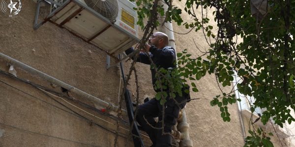 WhatsApp Image 2026-04-15 at 19.46.32