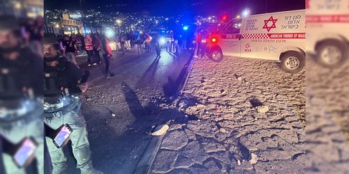 זירת הנפילה בצפון  צילום: מד"א