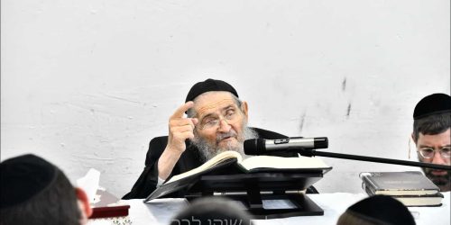 הגאון רבי יצחק הקר שליט״א  צילום: שוקי לרר