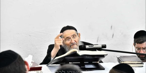 הגאון רבי יצחק הקר שליט״א  צילום: שוקי לרר