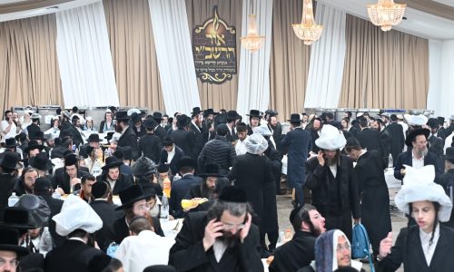 אור הרשב"י