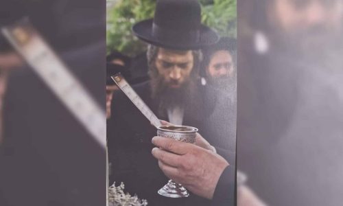 הגר"מ שטיינמן. באדיבות המצלם