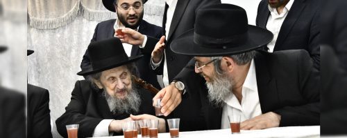 צילום: שוקי לרר