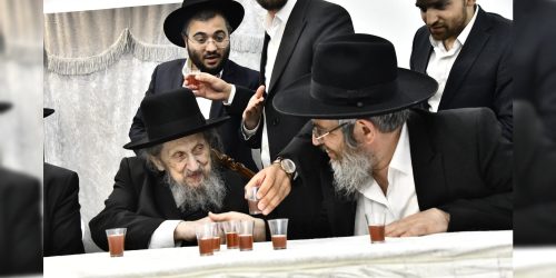 צילום: שוקי לרר