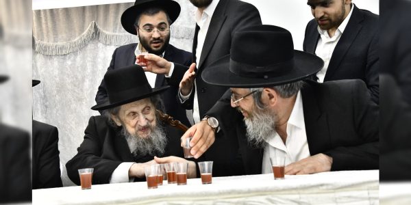 צילום: שוקי לרר